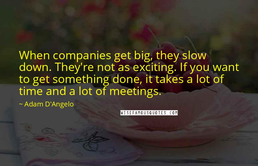 Adam D'Angelo Quotes: When companies get big, they slow down. They're not as exciting. If you want to get something done, it takes a lot of time and a lot of meetings.