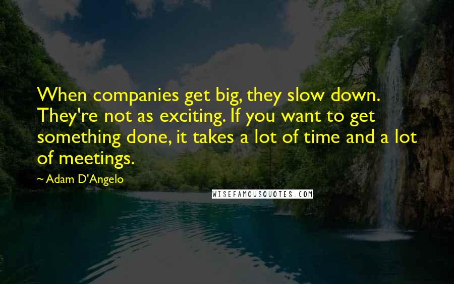 Adam D'Angelo Quotes: When companies get big, they slow down. They're not as exciting. If you want to get something done, it takes a lot of time and a lot of meetings.