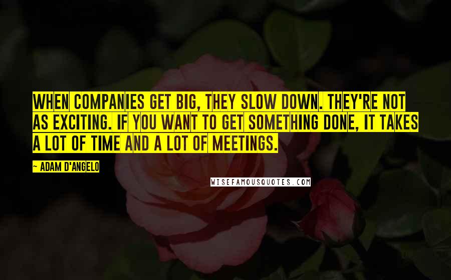 Adam D'Angelo Quotes: When companies get big, they slow down. They're not as exciting. If you want to get something done, it takes a lot of time and a lot of meetings.