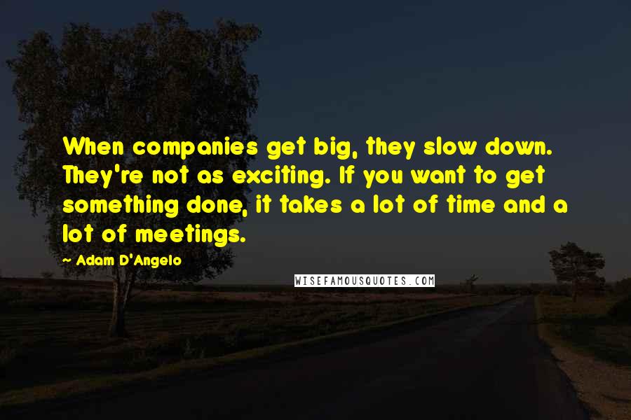 Adam D'Angelo Quotes: When companies get big, they slow down. They're not as exciting. If you want to get something done, it takes a lot of time and a lot of meetings.