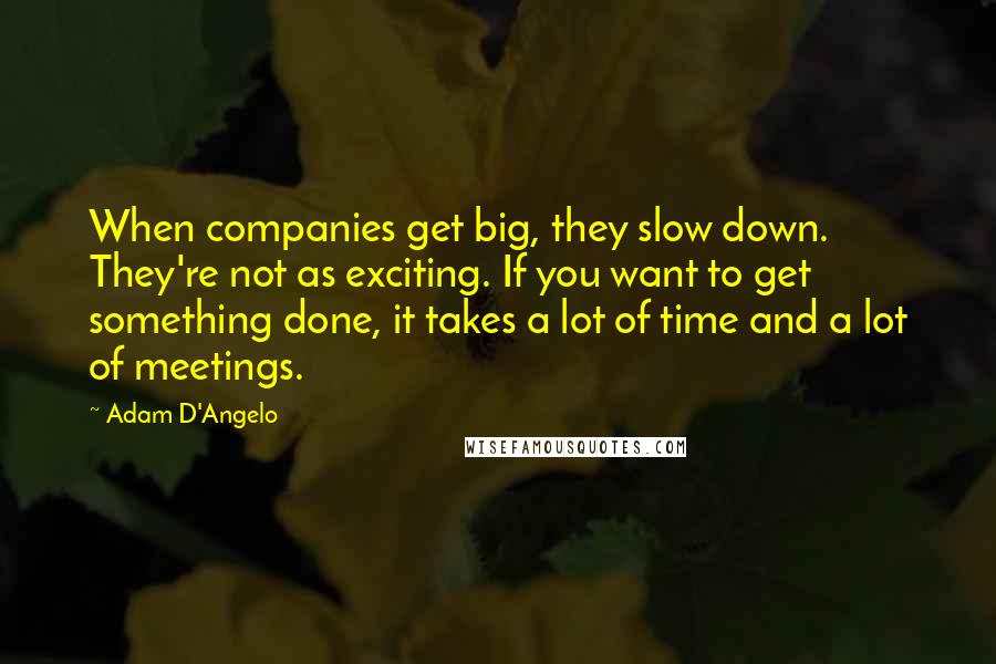 Adam D'Angelo Quotes: When companies get big, they slow down. They're not as exciting. If you want to get something done, it takes a lot of time and a lot of meetings.
