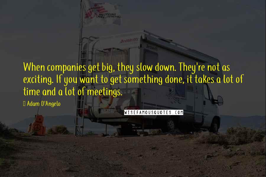 Adam D'Angelo Quotes: When companies get big, they slow down. They're not as exciting. If you want to get something done, it takes a lot of time and a lot of meetings.