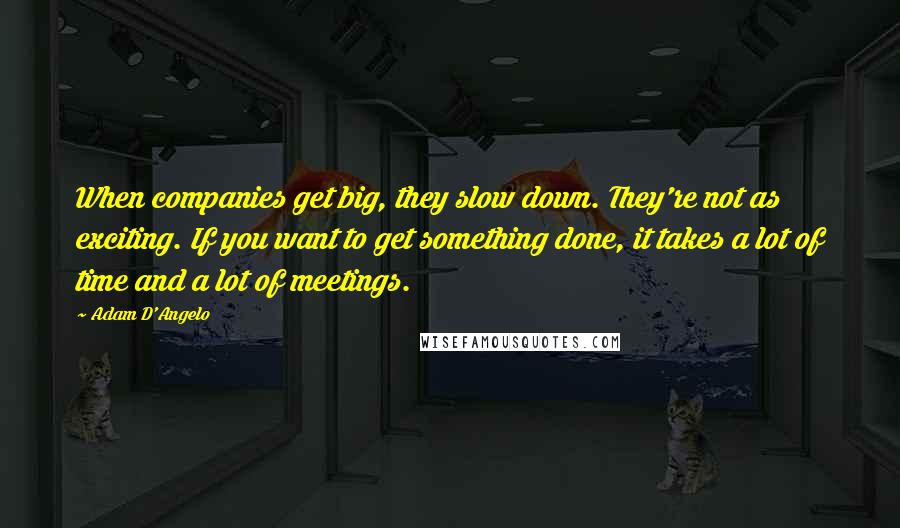 Adam D'Angelo Quotes: When companies get big, they slow down. They're not as exciting. If you want to get something done, it takes a lot of time and a lot of meetings.