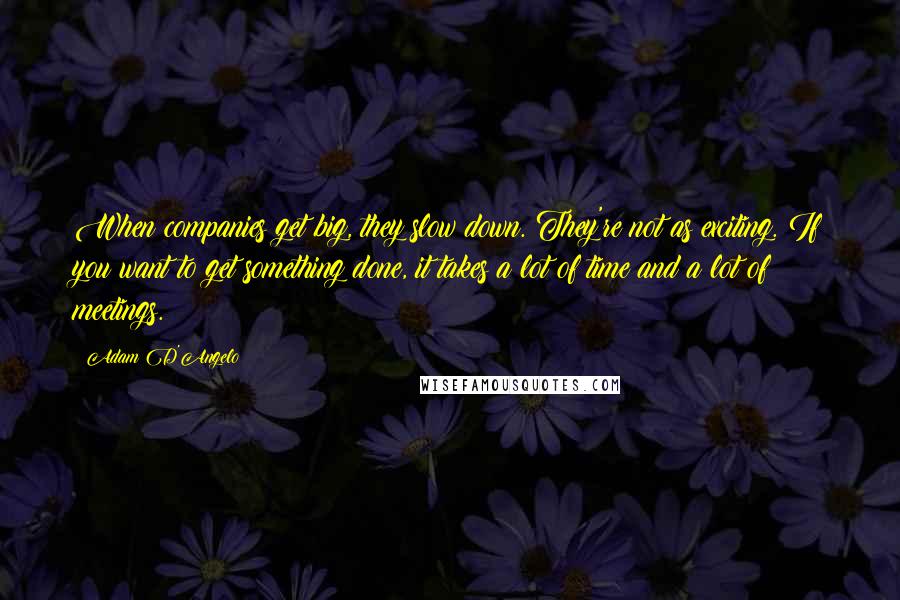 Adam D'Angelo Quotes: When companies get big, they slow down. They're not as exciting. If you want to get something done, it takes a lot of time and a lot of meetings.