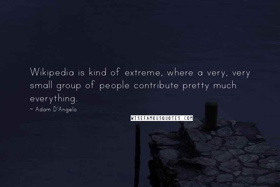 Adam D'Angelo Quotes: Wikipedia is kind of extreme, where a very, very small group of people contribute pretty much everything.