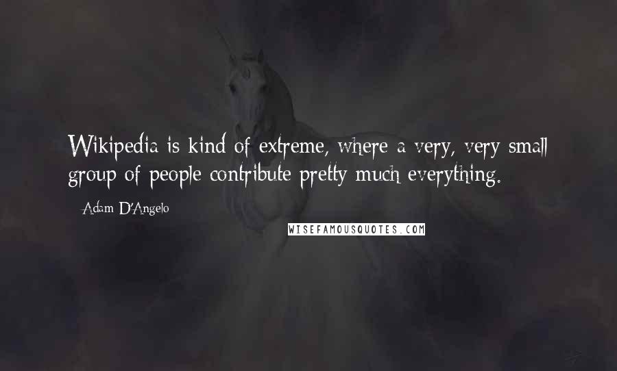 Adam D'Angelo Quotes: Wikipedia is kind of extreme, where a very, very small group of people contribute pretty much everything.