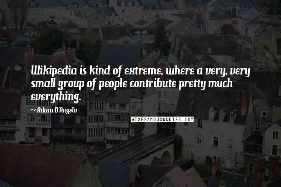 Adam D'Angelo Quotes: Wikipedia is kind of extreme, where a very, very small group of people contribute pretty much everything.