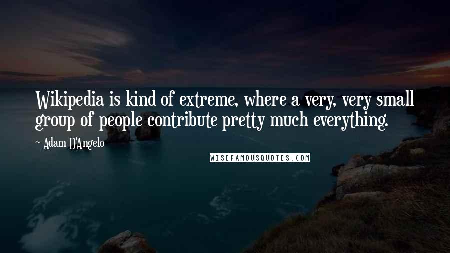 Adam D'Angelo Quotes: Wikipedia is kind of extreme, where a very, very small group of people contribute pretty much everything.