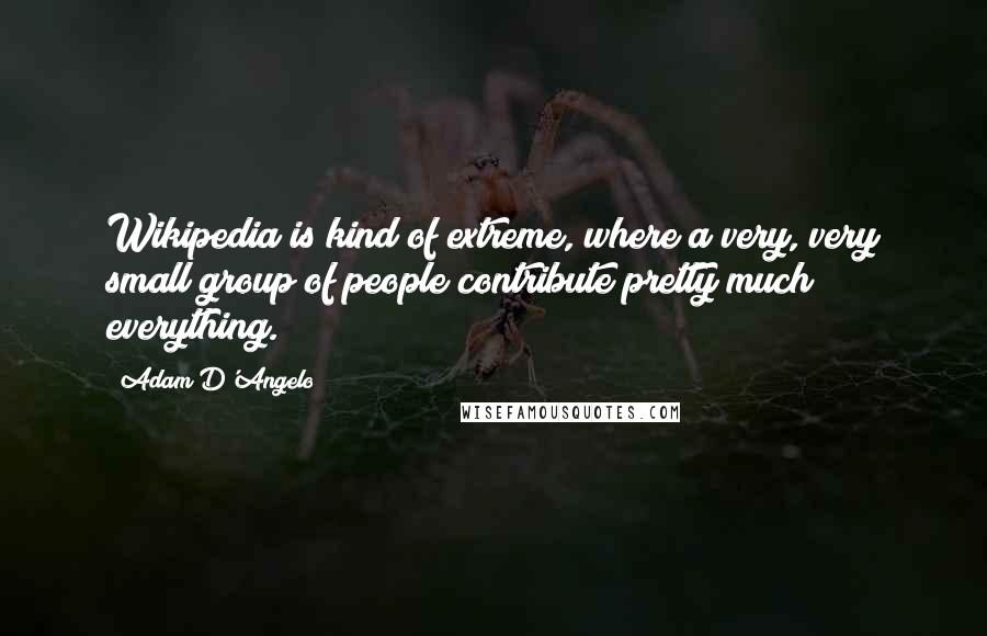 Adam D'Angelo Quotes: Wikipedia is kind of extreme, where a very, very small group of people contribute pretty much everything.