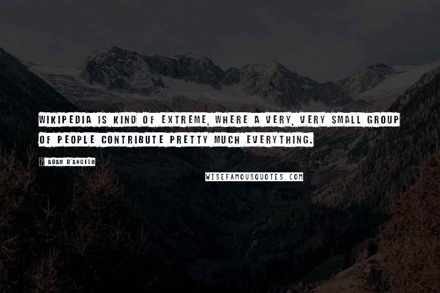 Adam D'Angelo Quotes: Wikipedia is kind of extreme, where a very, very small group of people contribute pretty much everything.