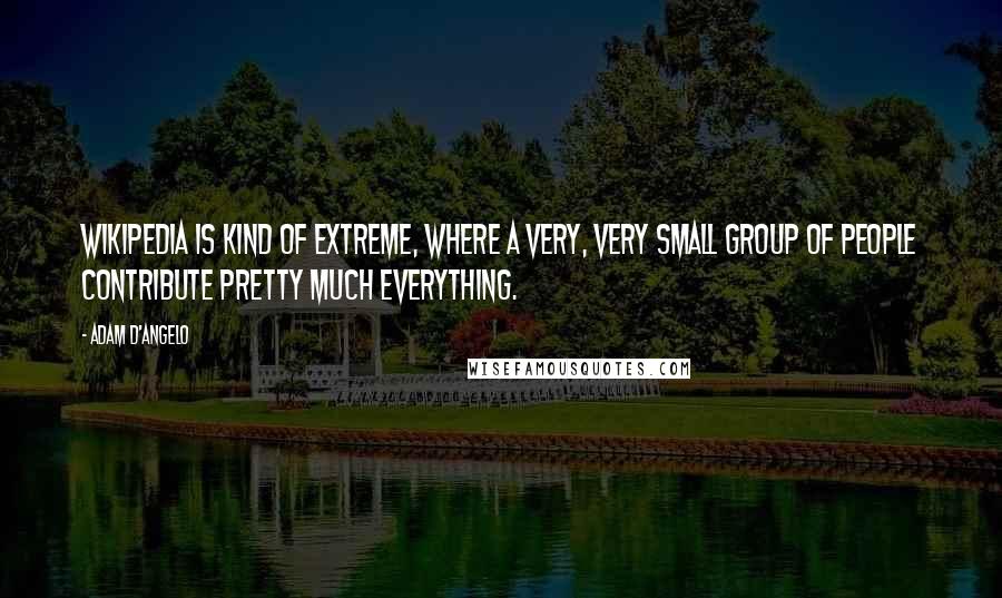Adam D'Angelo Quotes: Wikipedia is kind of extreme, where a very, very small group of people contribute pretty much everything.