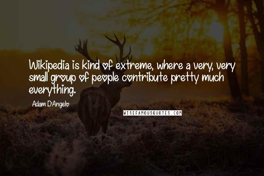 Adam D'Angelo Quotes: Wikipedia is kind of extreme, where a very, very small group of people contribute pretty much everything.