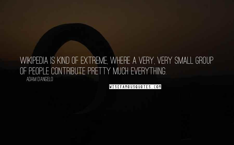 Adam D'Angelo Quotes: Wikipedia is kind of extreme, where a very, very small group of people contribute pretty much everything.