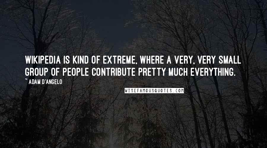 Adam D'Angelo Quotes: Wikipedia is kind of extreme, where a very, very small group of people contribute pretty much everything.