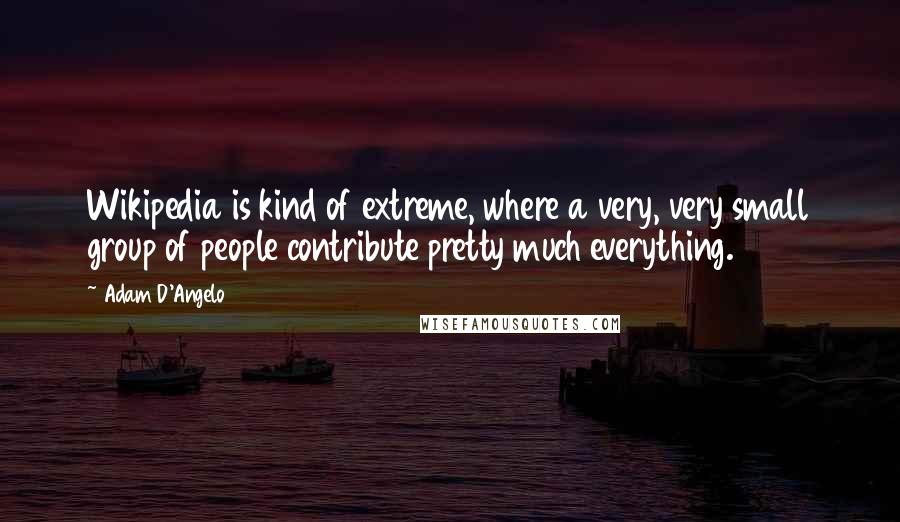 Adam D'Angelo Quotes: Wikipedia is kind of extreme, where a very, very small group of people contribute pretty much everything.