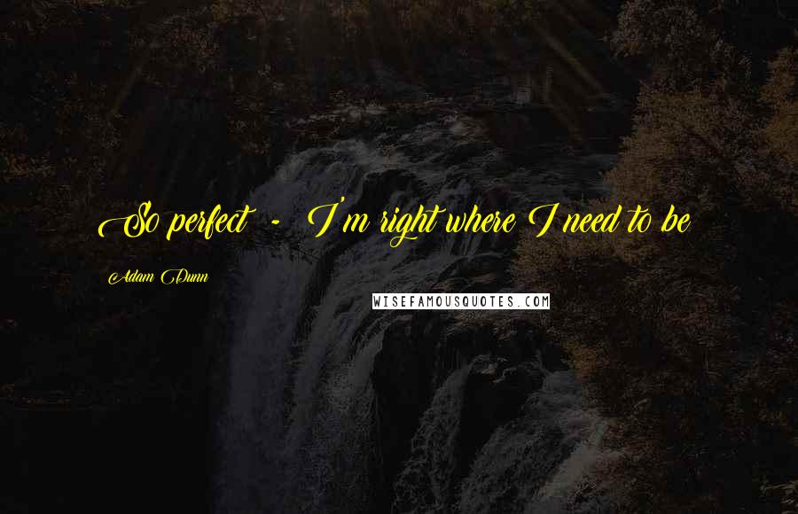 Adam Dunn Quotes: So perfect  -  I'm right where I need to be!