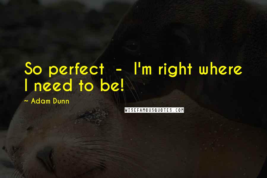 Adam Dunn Quotes: So perfect  -  I'm right where I need to be!