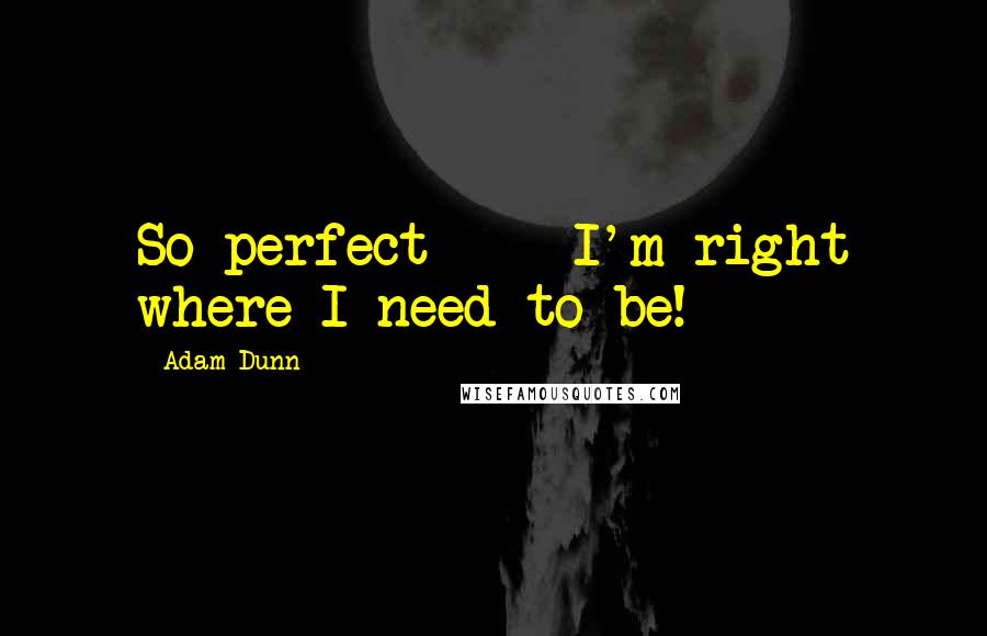 Adam Dunn Quotes: So perfect  -  I'm right where I need to be!