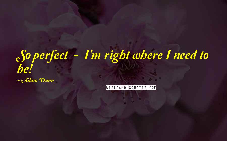 Adam Dunn Quotes: So perfect  -  I'm right where I need to be!