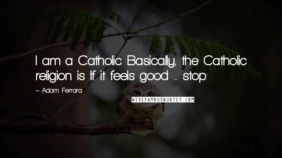 Adam Ferrara Quotes: I am a Catholic. Basically, the Catholic religion is 'If it feels good - stop.'
