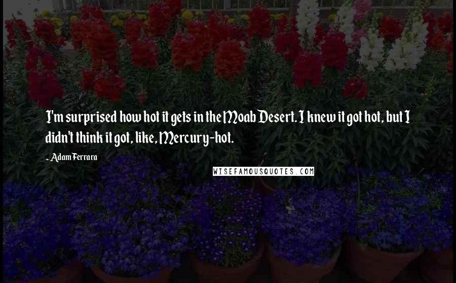 Adam Ferrara Quotes: I'm surprised how hot it gets in the Moab Desert. I knew it got hot, but I didn't think it got, like, Mercury-hot.