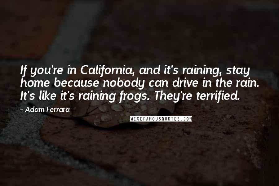 Adam Ferrara Quotes: If you're in California, and it's raining, stay home because nobody can drive in the rain. It's like it's raining frogs. They're terrified.