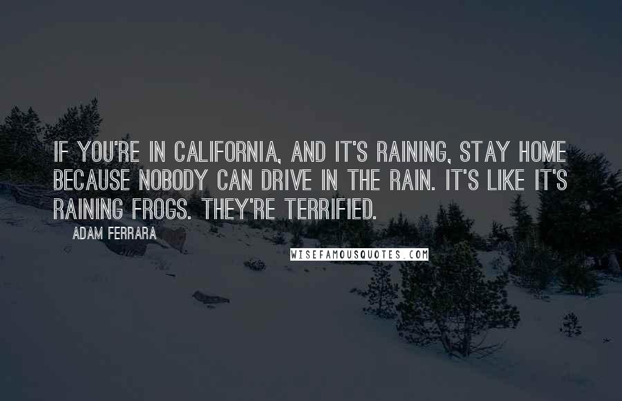 Adam Ferrara Quotes: If you're in California, and it's raining, stay home because nobody can drive in the rain. It's like it's raining frogs. They're terrified.