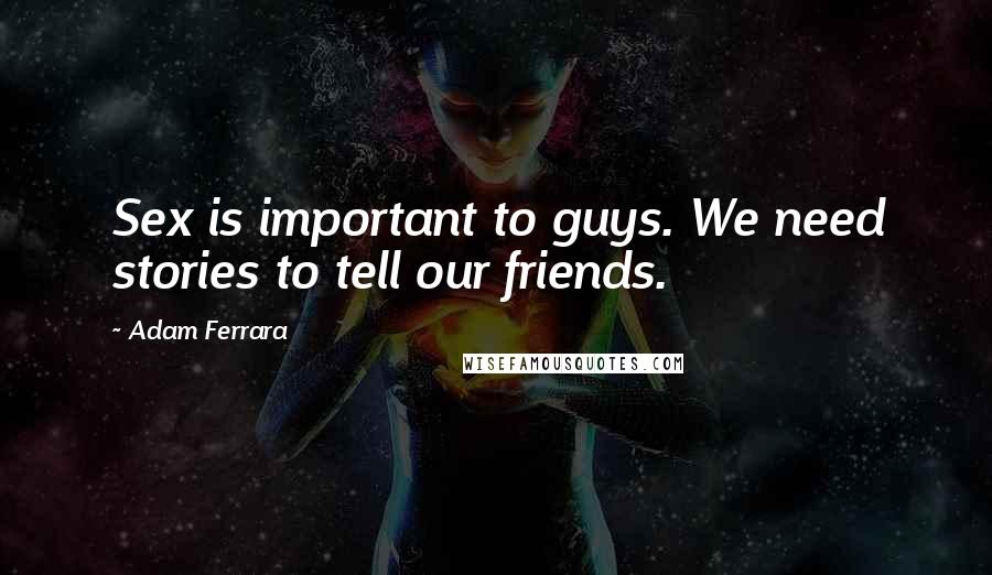 Adam Ferrara Quotes: Sex is important to guys. We need stories to tell our friends.