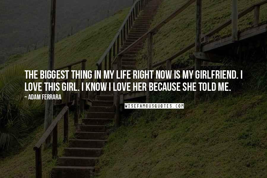 Adam Ferrara Quotes: The biggest thing in my life right now is my girlfriend. I love this girl. I know I love her because she told me.