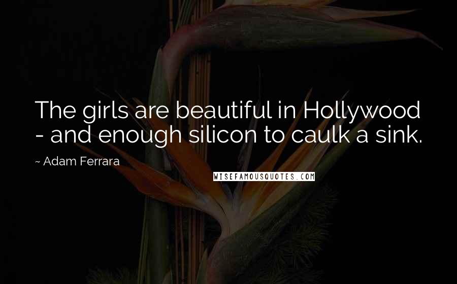 Adam Ferrara Quotes: The girls are beautiful in Hollywood - and enough silicon to caulk a sink.