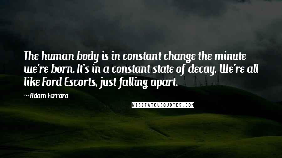 Adam Ferrara Quotes: The human body is in constant change the minute we're born. It's in a constant state of decay. We're all like Ford Escorts, just falling apart.