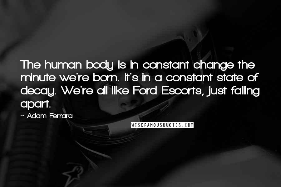 Adam Ferrara Quotes: The human body is in constant change the minute we're born. It's in a constant state of decay. We're all like Ford Escorts, just falling apart.