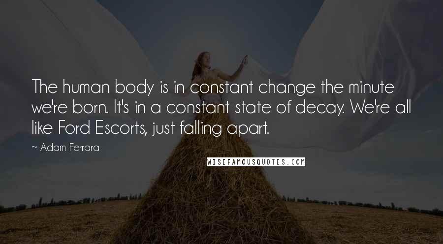 Adam Ferrara Quotes: The human body is in constant change the minute we're born. It's in a constant state of decay. We're all like Ford Escorts, just falling apart.