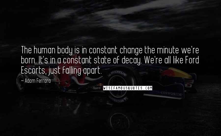 Adam Ferrara Quotes: The human body is in constant change the minute we're born. It's in a constant state of decay. We're all like Ford Escorts, just falling apart.