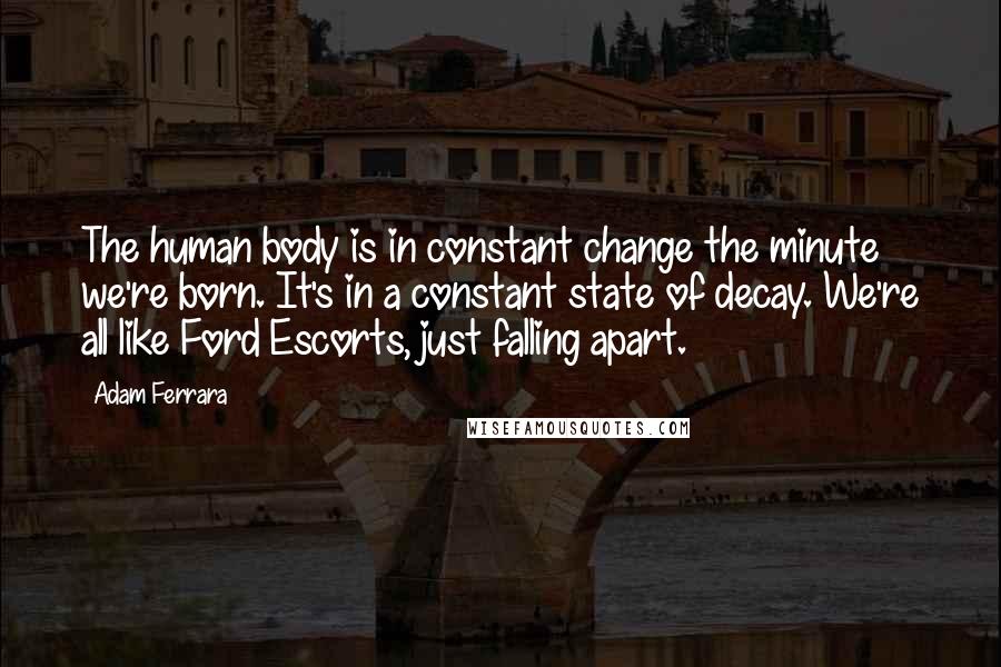 Adam Ferrara Quotes: The human body is in constant change the minute we're born. It's in a constant state of decay. We're all like Ford Escorts, just falling apart.