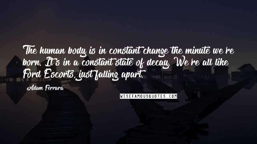 Adam Ferrara Quotes: The human body is in constant change the minute we're born. It's in a constant state of decay. We're all like Ford Escorts, just falling apart.