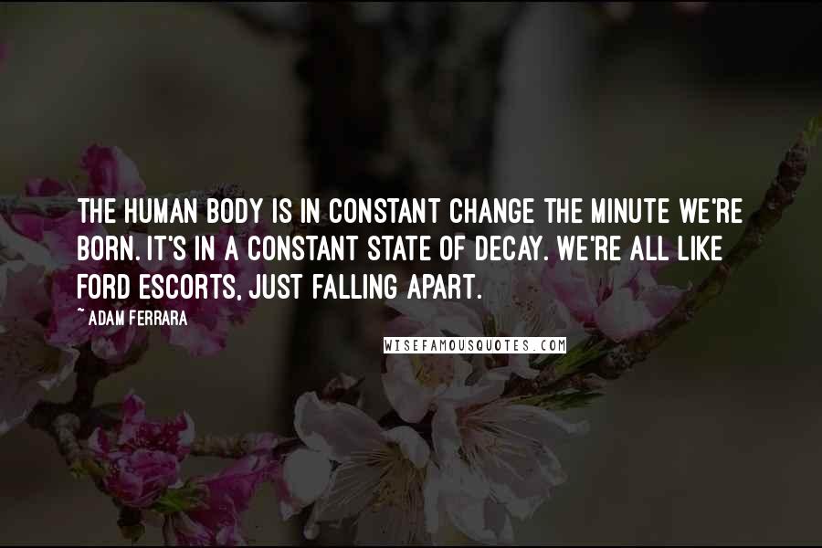 Adam Ferrara Quotes: The human body is in constant change the minute we're born. It's in a constant state of decay. We're all like Ford Escorts, just falling apart.