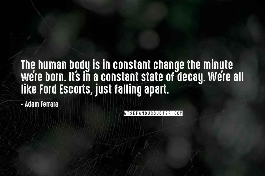 Adam Ferrara Quotes: The human body is in constant change the minute we're born. It's in a constant state of decay. We're all like Ford Escorts, just falling apart.