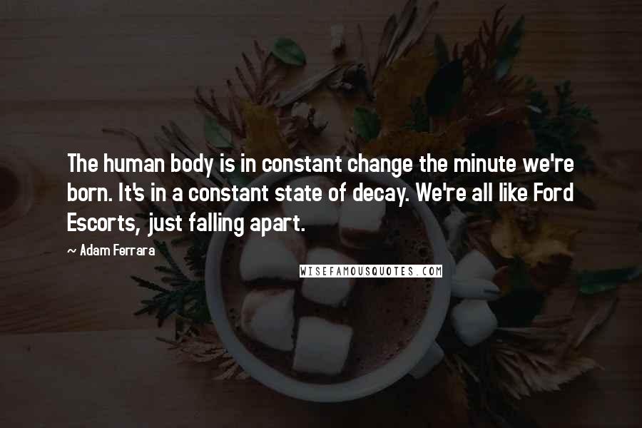 Adam Ferrara Quotes: The human body is in constant change the minute we're born. It's in a constant state of decay. We're all like Ford Escorts, just falling apart.