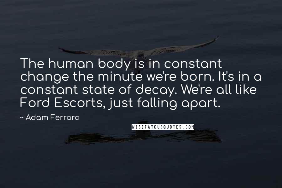 Adam Ferrara Quotes: The human body is in constant change the minute we're born. It's in a constant state of decay. We're all like Ford Escorts, just falling apart.