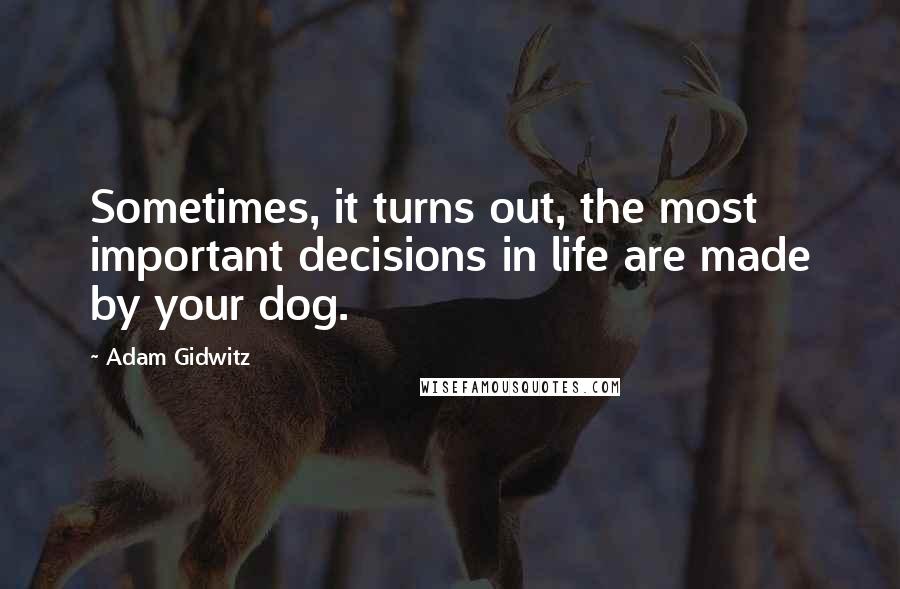 Adam Gidwitz Quotes: Sometimes, it turns out, the most important decisions in life are made by your dog.