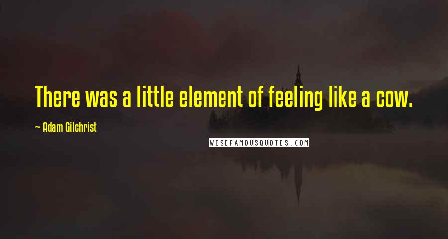 Adam Gilchrist Quotes: There was a little element of feeling like a cow.