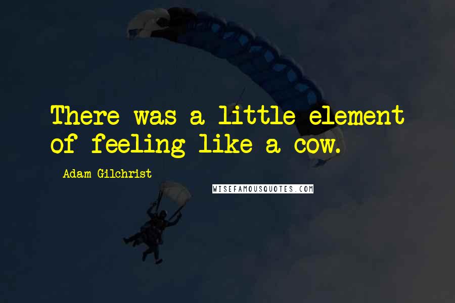 Adam Gilchrist Quotes: There was a little element of feeling like a cow.