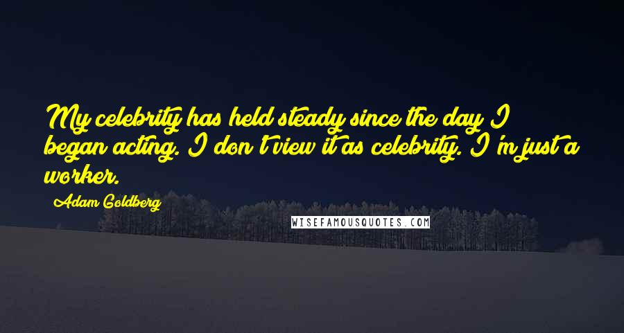 Adam Goldberg Quotes: My celebrity has held steady since the day I began acting. I don't view it as celebrity. I'm just a worker.