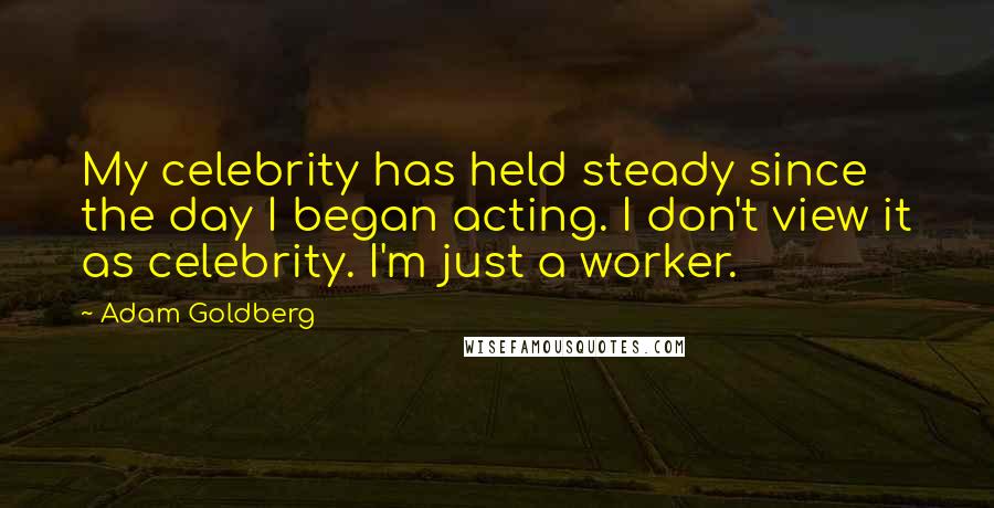 Adam Goldberg Quotes: My celebrity has held steady since the day I began acting. I don't view it as celebrity. I'm just a worker.