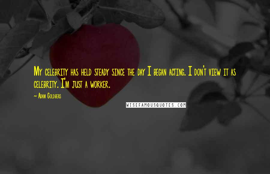 Adam Goldberg Quotes: My celebrity has held steady since the day I began acting. I don't view it as celebrity. I'm just a worker.