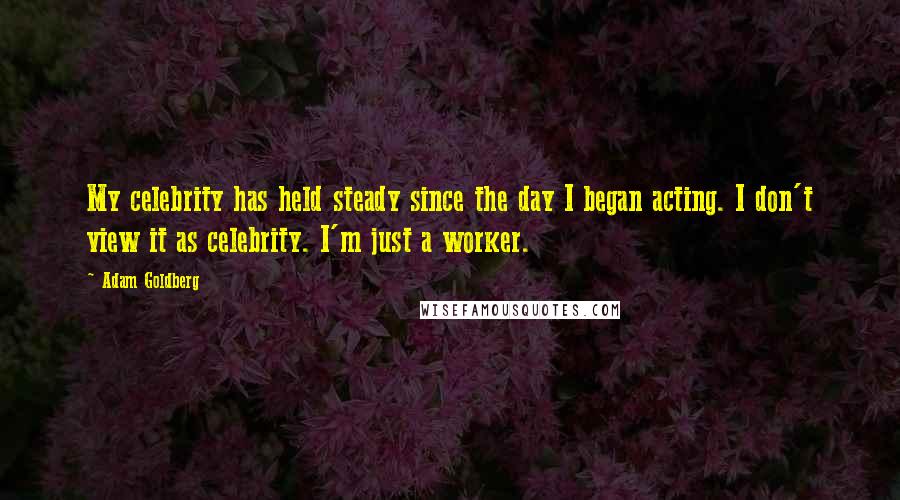 Adam Goldberg Quotes: My celebrity has held steady since the day I began acting. I don't view it as celebrity. I'm just a worker.