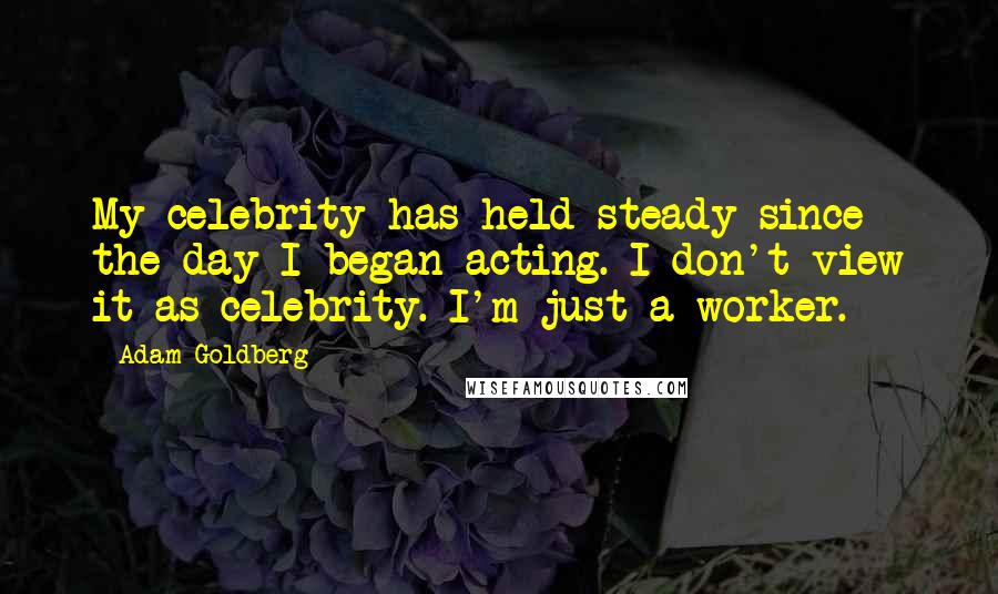 Adam Goldberg Quotes: My celebrity has held steady since the day I began acting. I don't view it as celebrity. I'm just a worker.