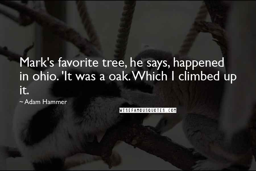 Adam Hammer Quotes: Mark's favorite tree, he says, happened in ohio. 'It was a oak. Which I climbed up it.