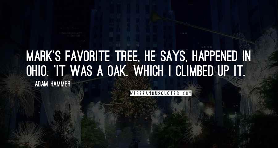 Adam Hammer Quotes: Mark's favorite tree, he says, happened in ohio. 'It was a oak. Which I climbed up it.